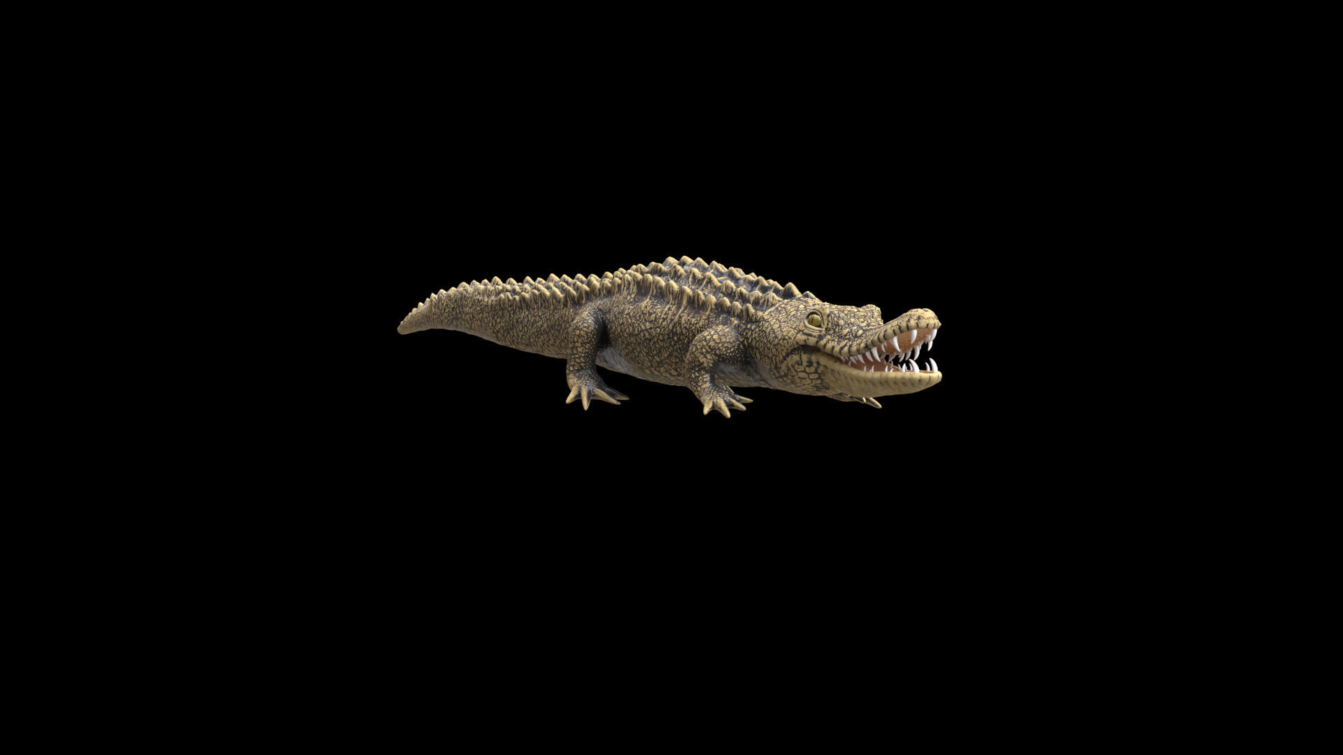 crocodile 3d model 3D model_9