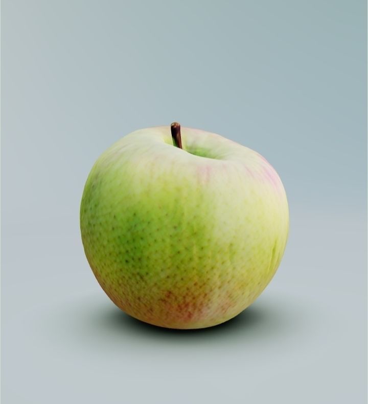 APPLE - 3D MODEL 3D model_3
