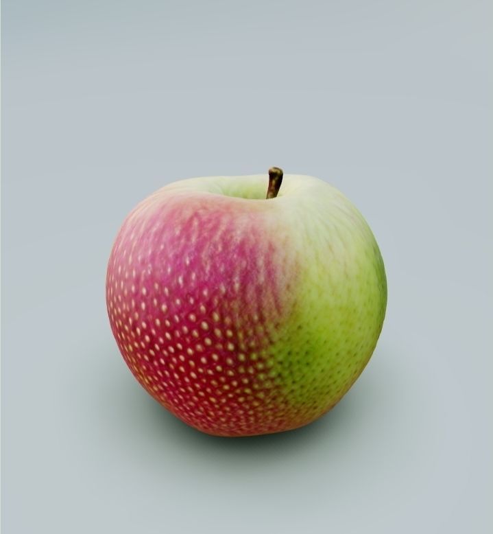 APPLE - 3D MODEL 3D model_1