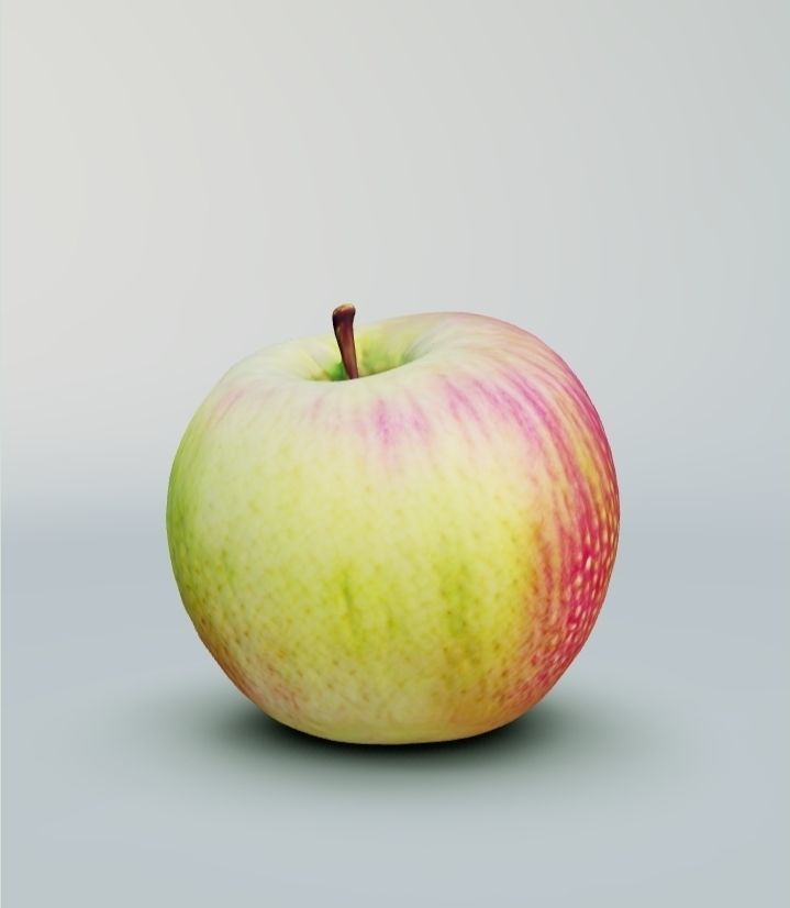 APPLE - 3D MODEL 3D model_4