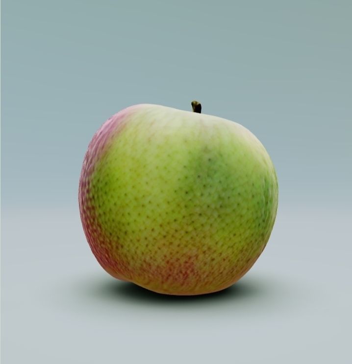 APPLE - 3D MODEL 3D model_2