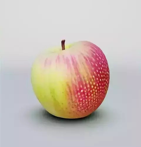 APPLE - 3D MODEL