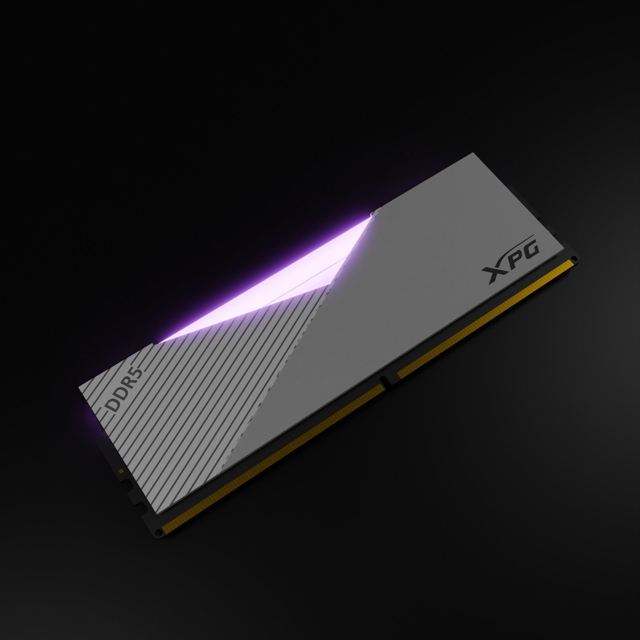 A-DATA  XPG RAM RGB DDR5 3D model_1