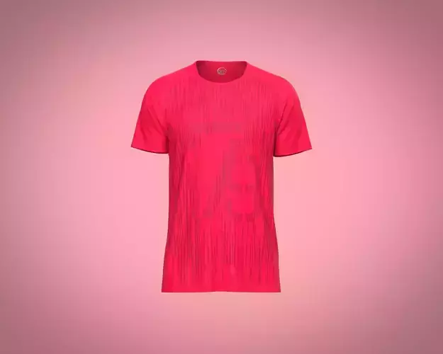 Reglan t shirt with cut and sew detailing with graphic 