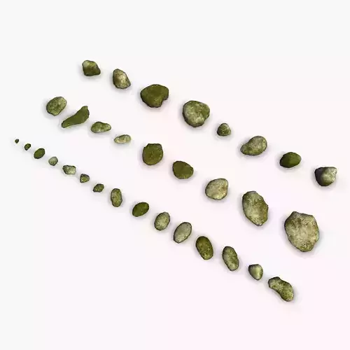 Assorted Rocks - Moss 2