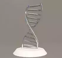 DNA DNA modeling model
