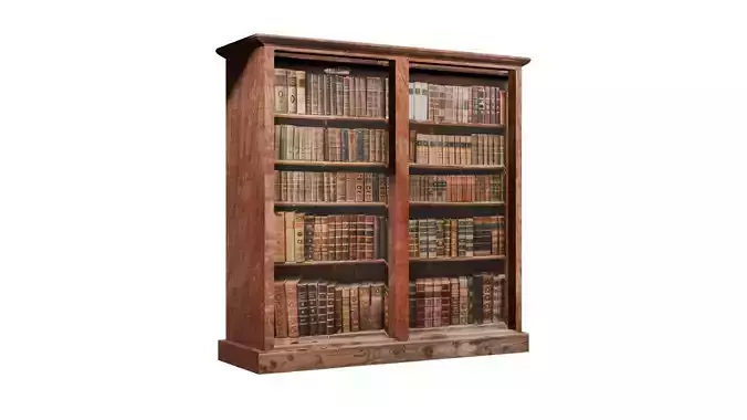 Library Bookshelf