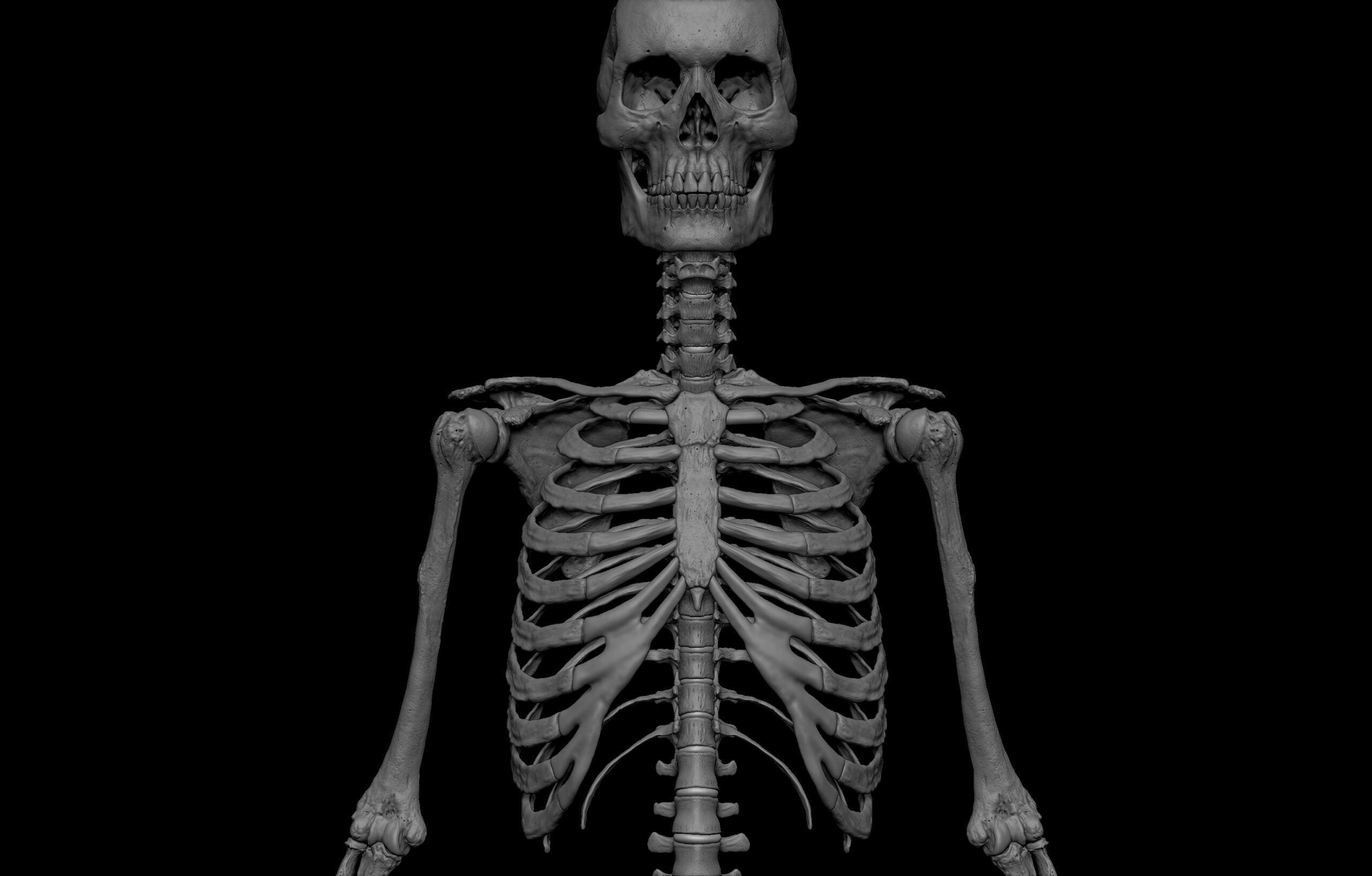 Black White Skinny Male Female Complete Anatomy Pack 3D Model Collection_31