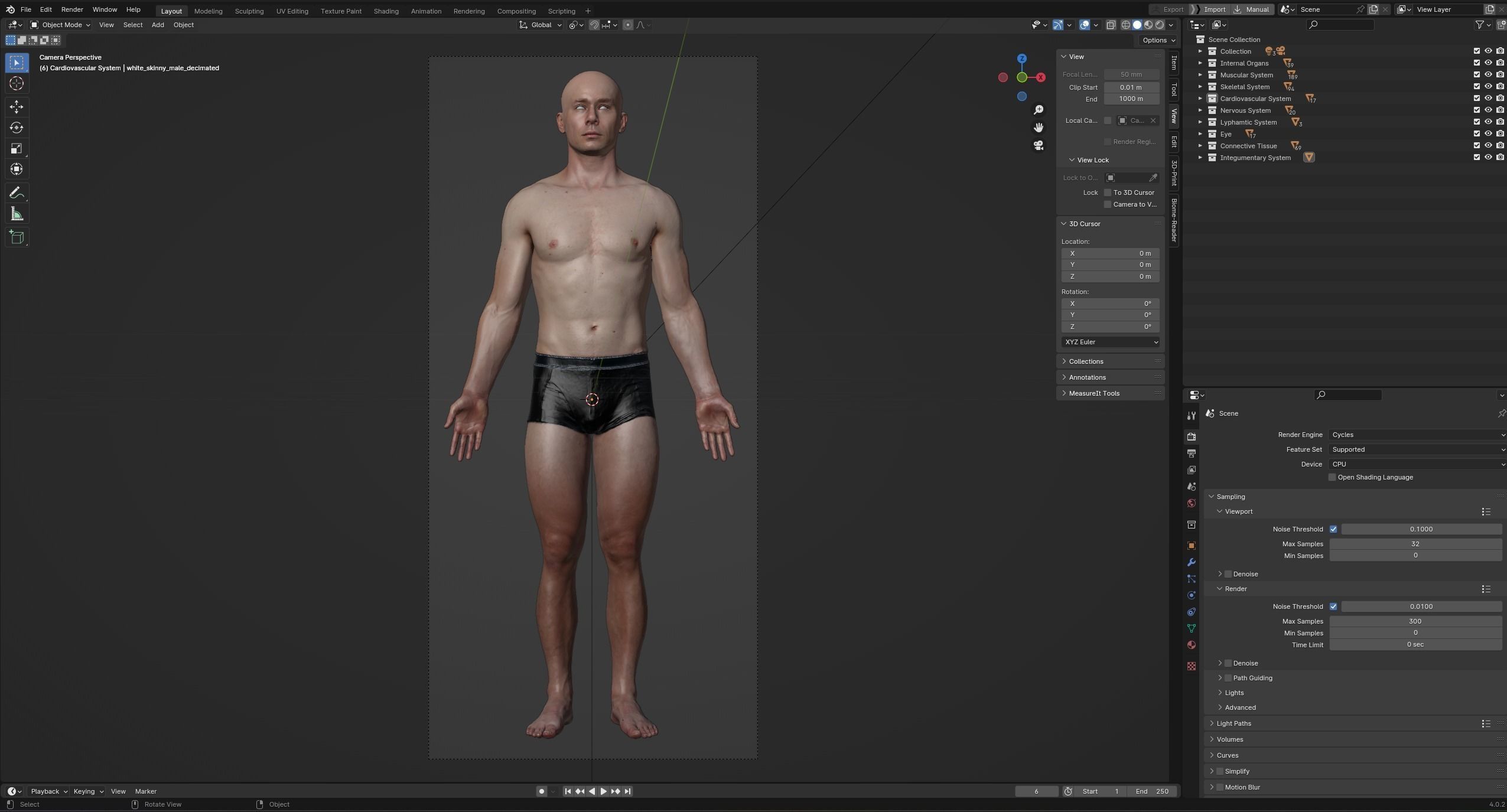 Black White Skinny Male Female Complete Anatomy Pack 3D Model Collection_37