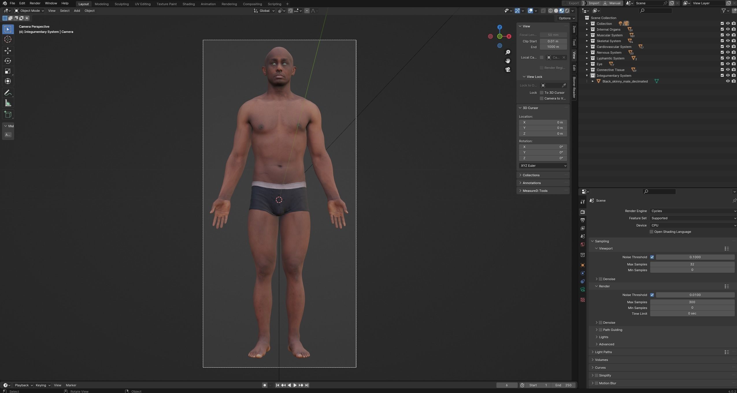Black White Skinny Male Female Complete Anatomy Pack 3D Model Collection_38