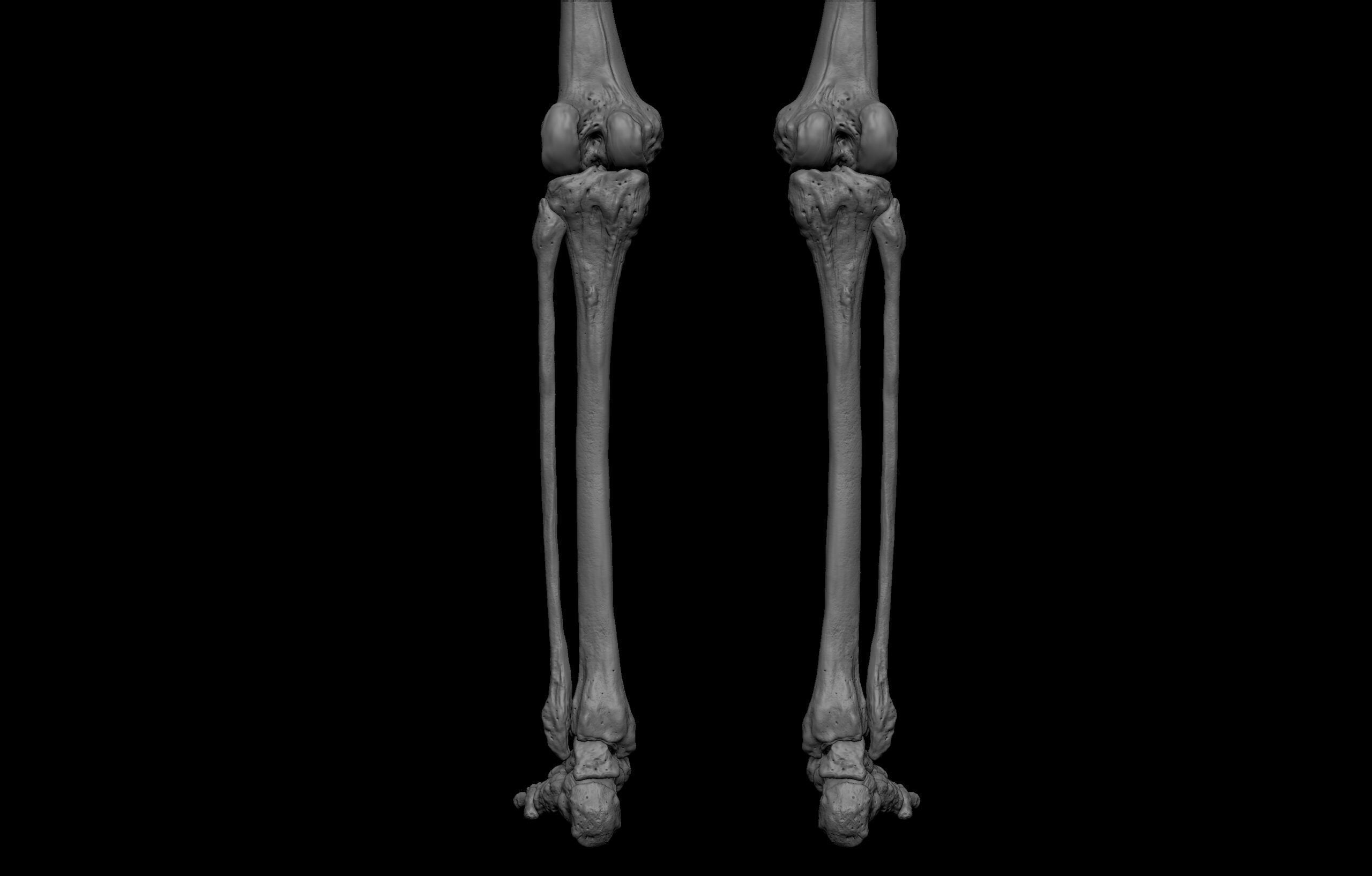 Black White Skinny Male Female Complete Anatomy Pack 3D Model Collection_35