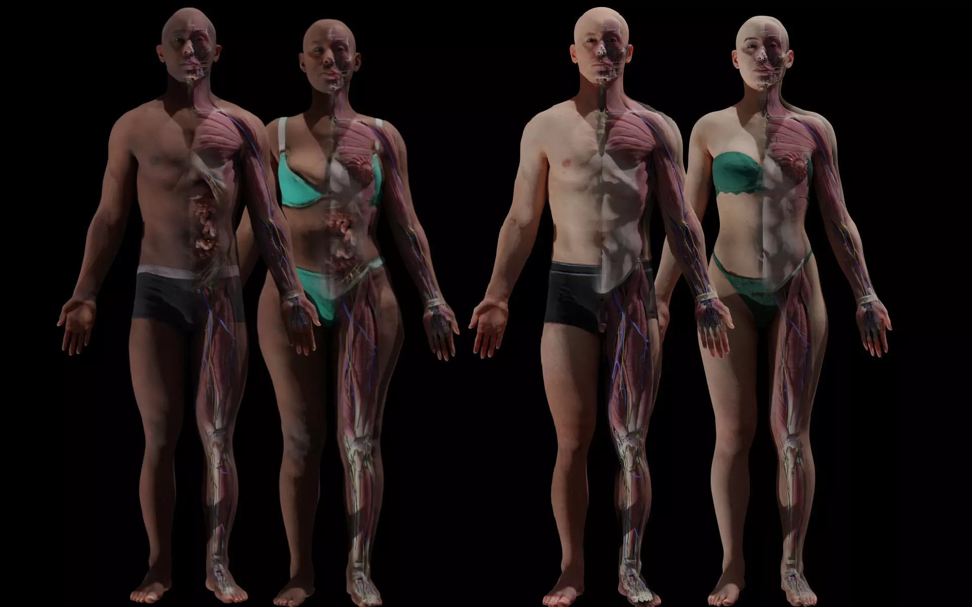 Black White Skinny Male Female Complete Anatomy Pack 3D Model Collection_0