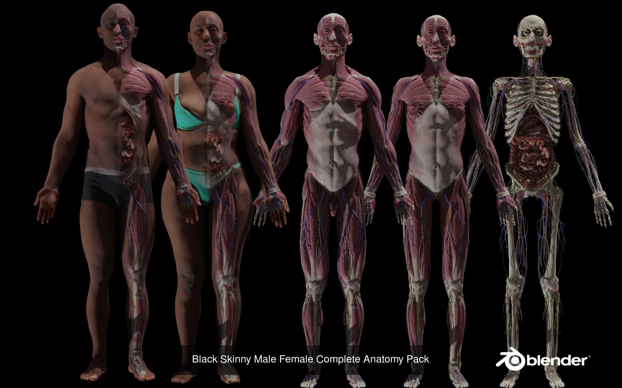 Black White Skinny Male Female Complete Anatomy Pack 3D Model Collection_2