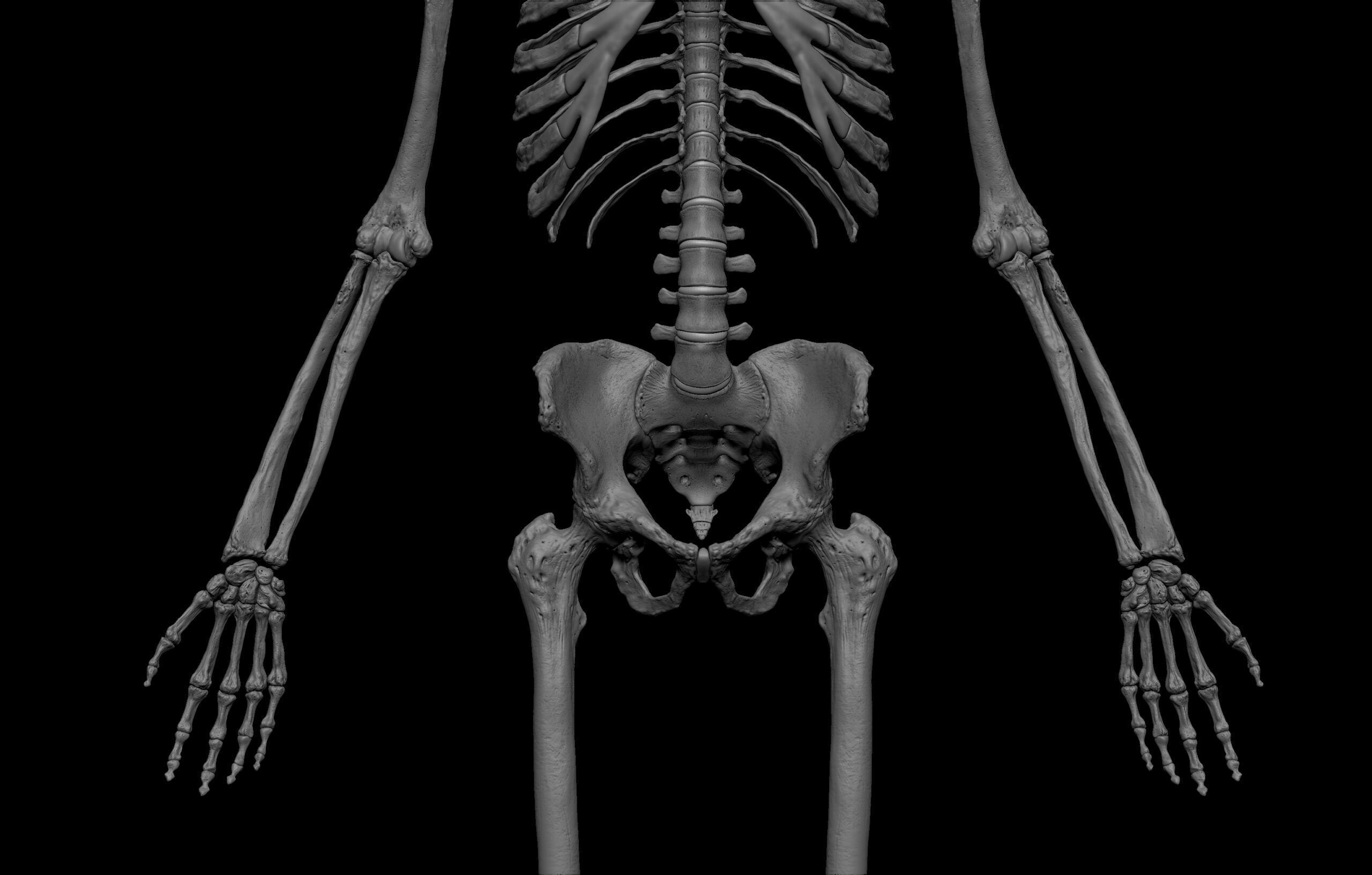 Black White Skinny Male Female Complete Anatomy Pack 3D Model Collection_34