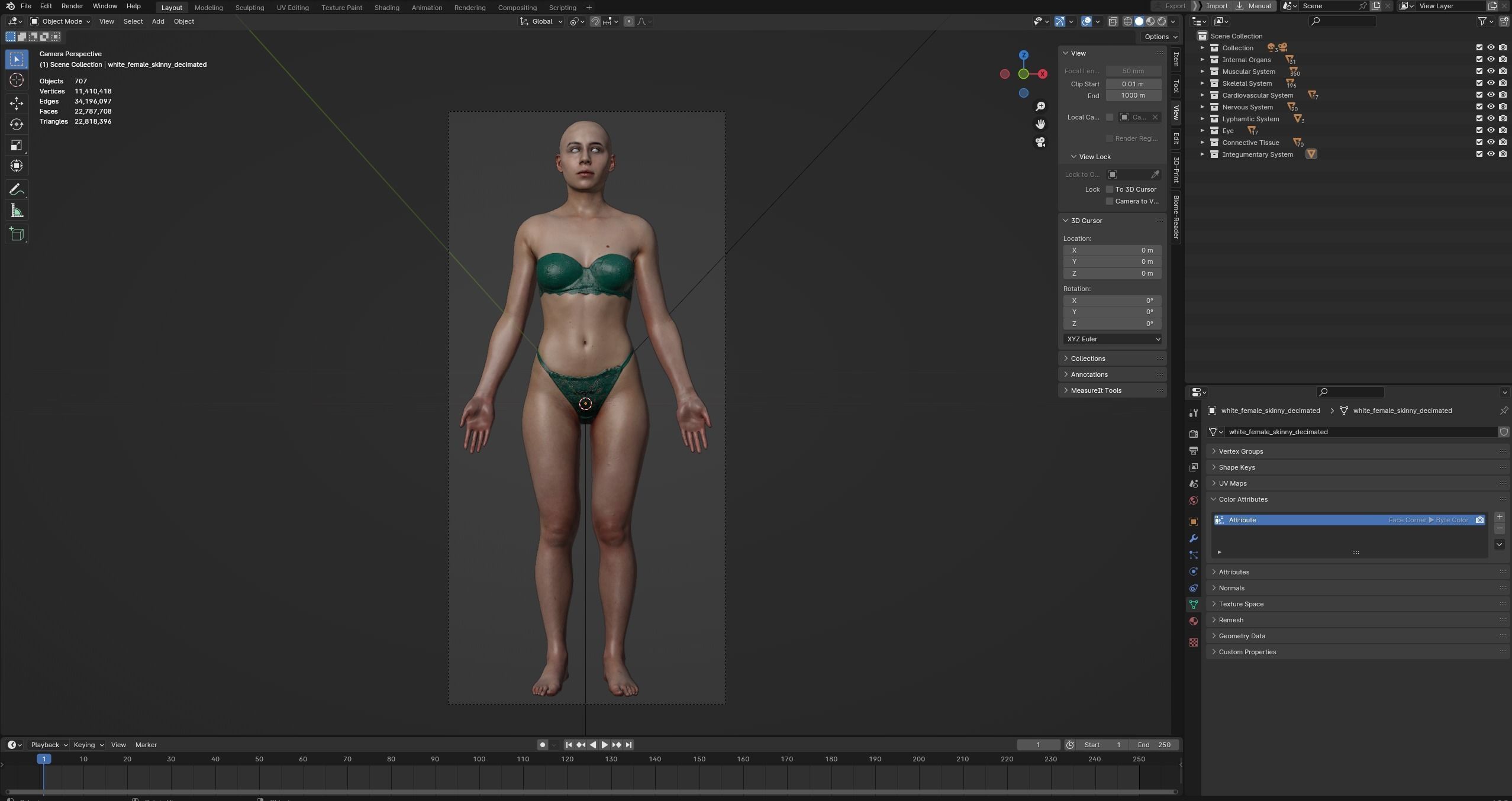 Black White Skinny Male Female Complete Anatomy Pack 3D Model Collection_39