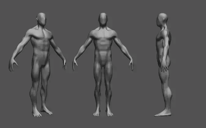 male base mesh 3D print model