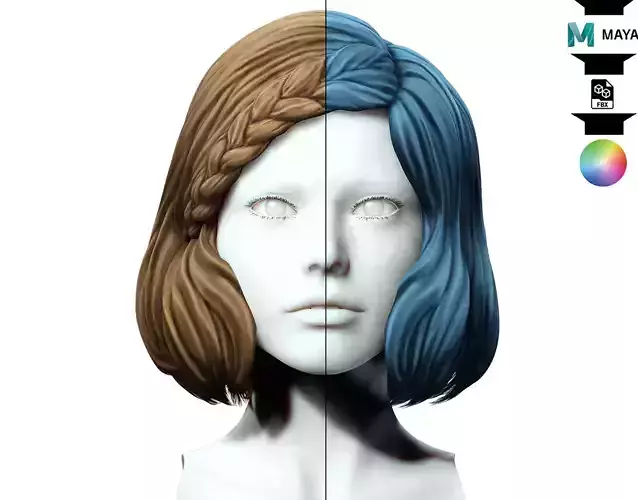 Female Short Hair With Braid 