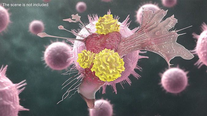 Cancer Cell with 3 Lymphocytes