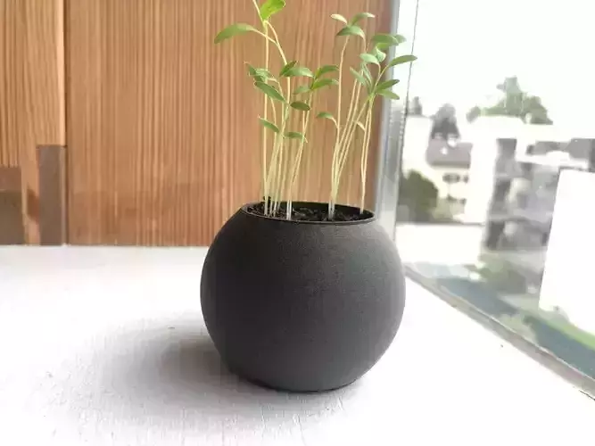 Minimalist Planter Ball