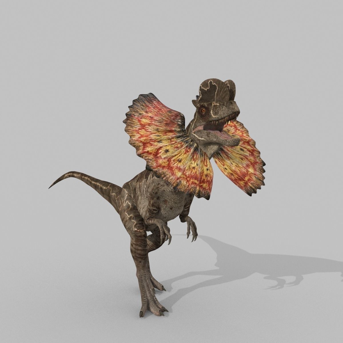 Dilophosaur Forever - 8K 3D model_8