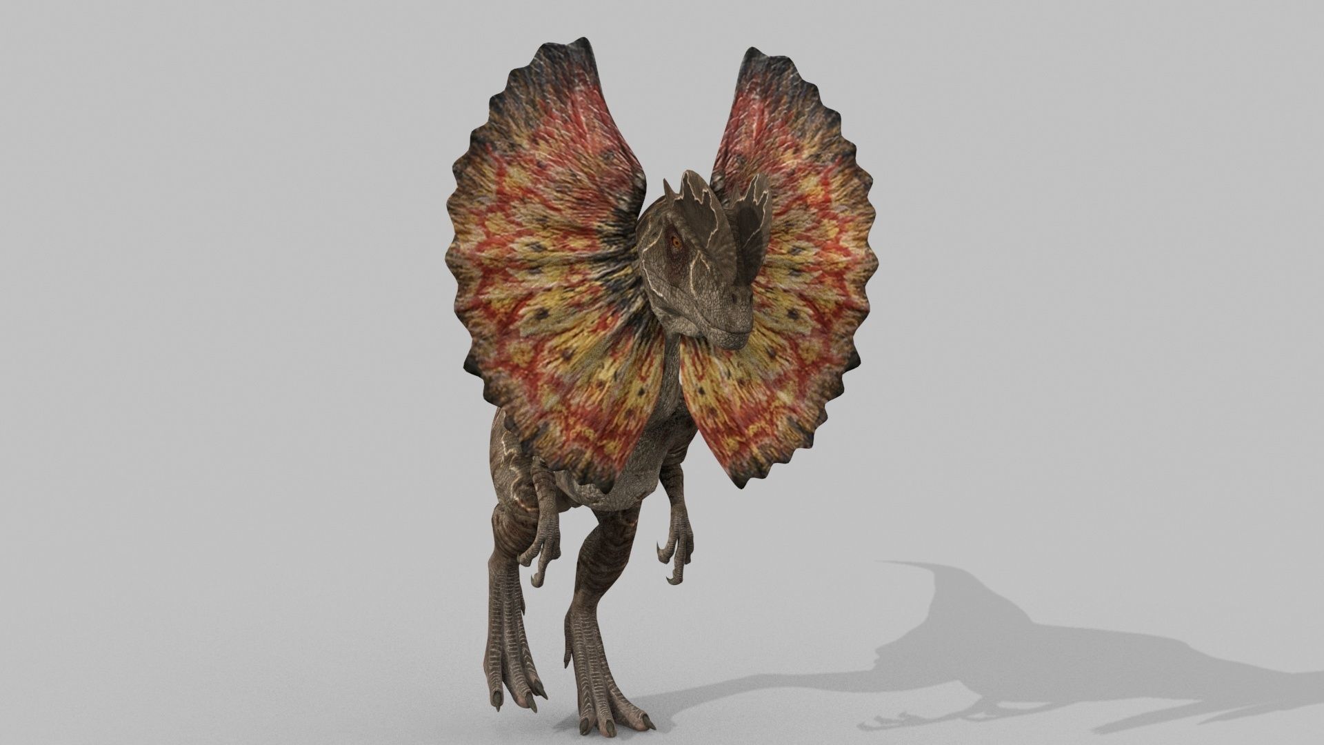 Dilophosaur Forever - 8K 3D model_20