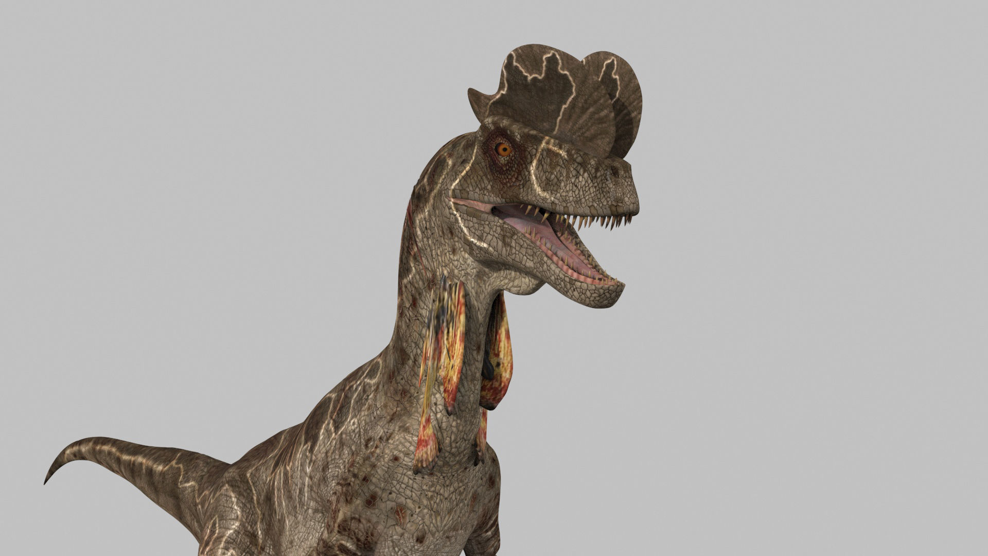 Dilophosaur Forever - 8K 3D model_15