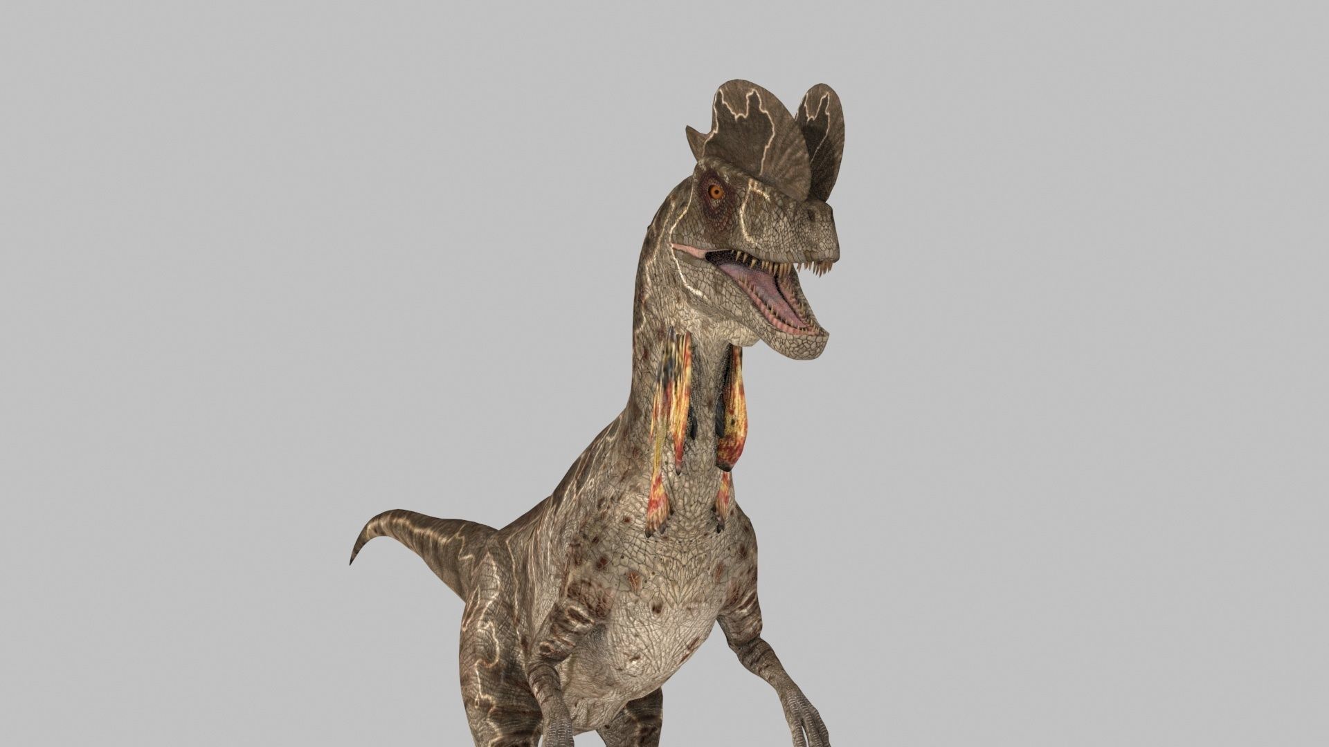 Dilophosaur Forever - 8K 3D model_18