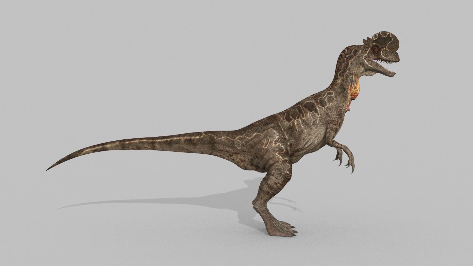 Dilophosaur Forever - 8K 3D model_10