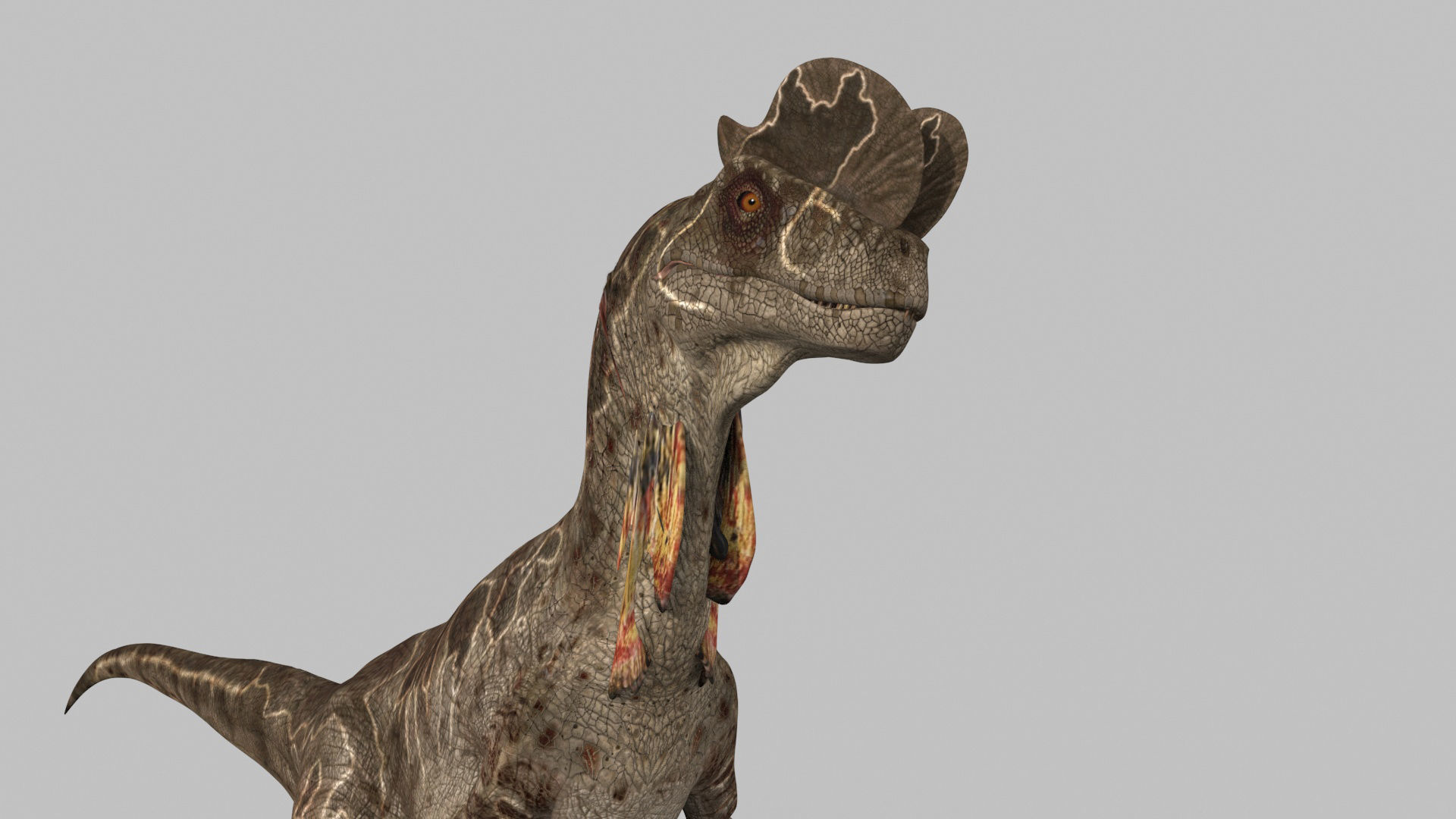 Dilophosaur Forever - 8K 3D model_17