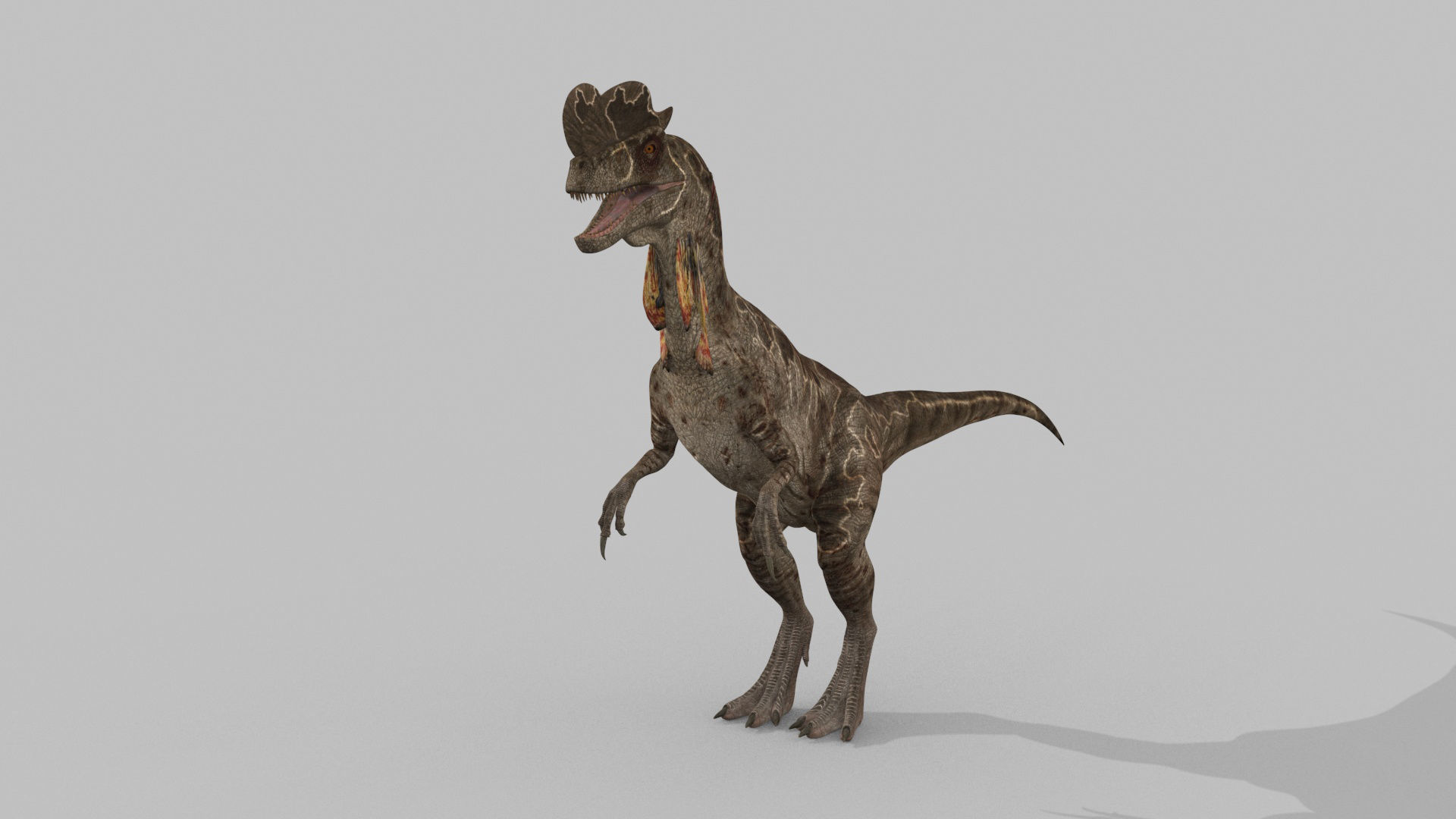 Dilophosaur Forever - 8K 3D model_14
