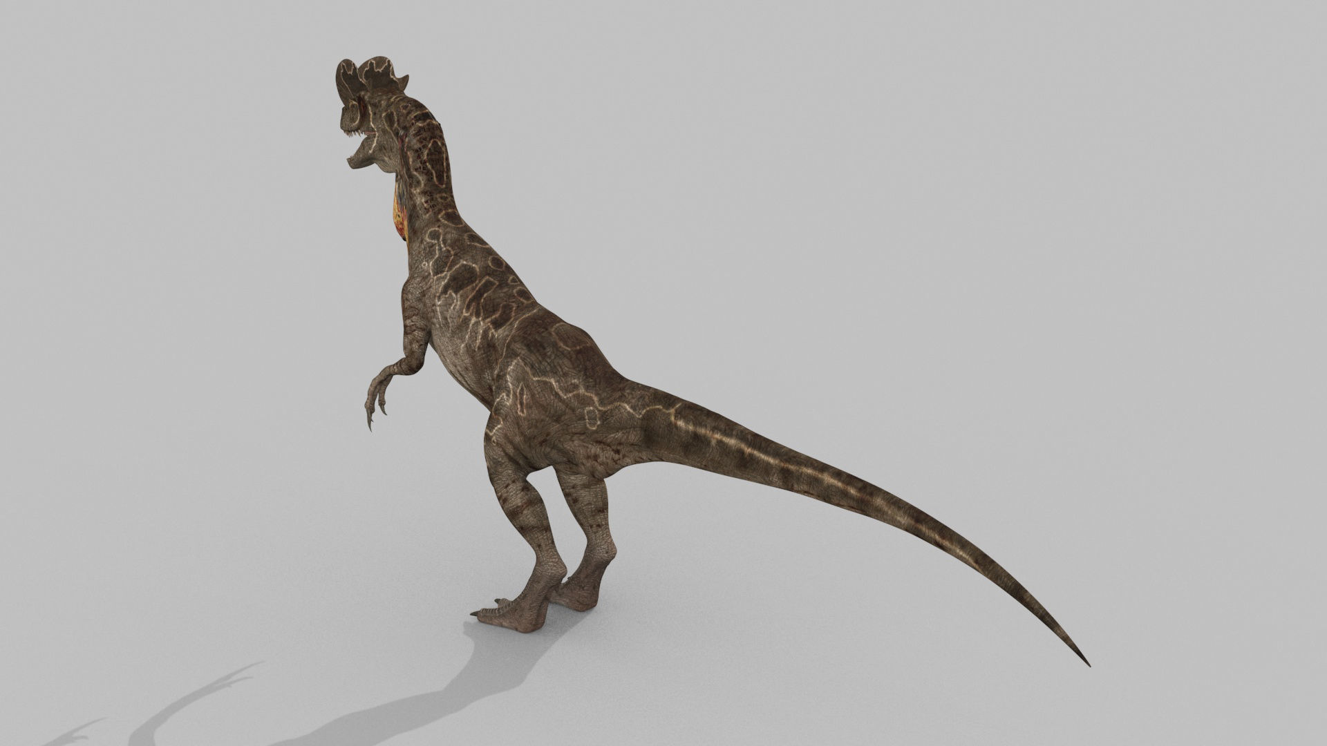 Dilophosaur Forever - 8K 3D model_13