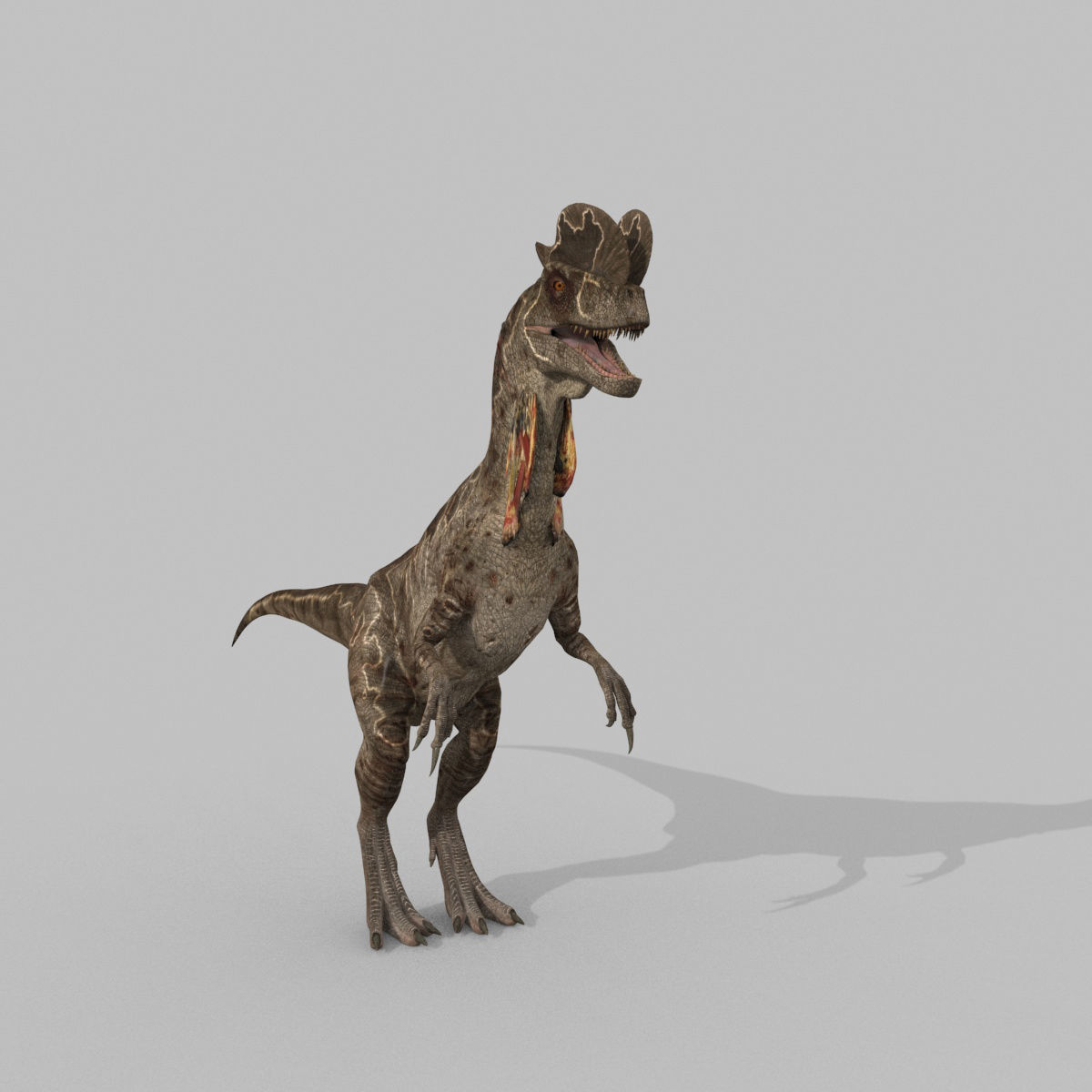 Dilophosaur Forever - 8K 3D model_9
