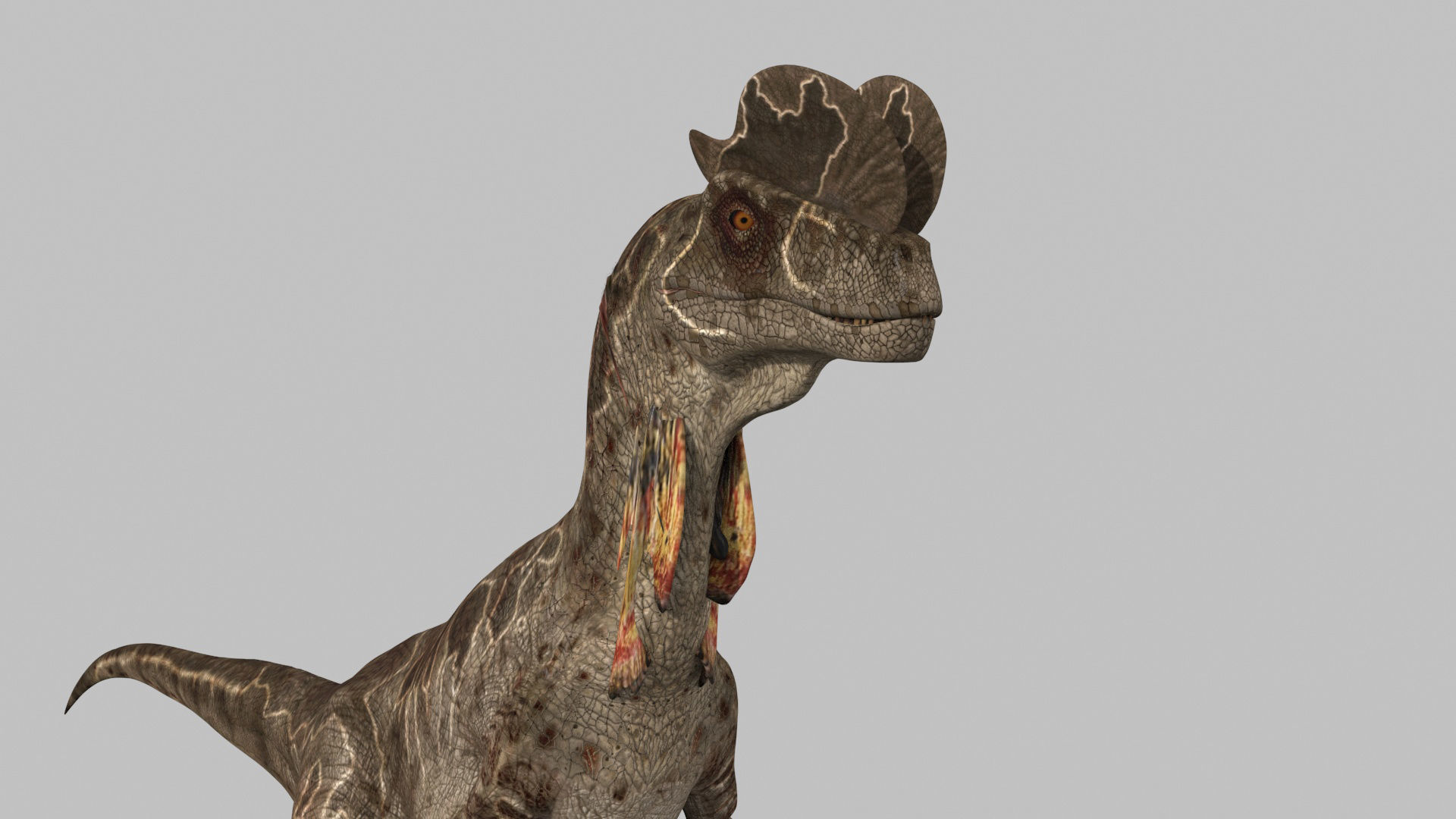 Dilophosaur Forever - 8K 3D model_16