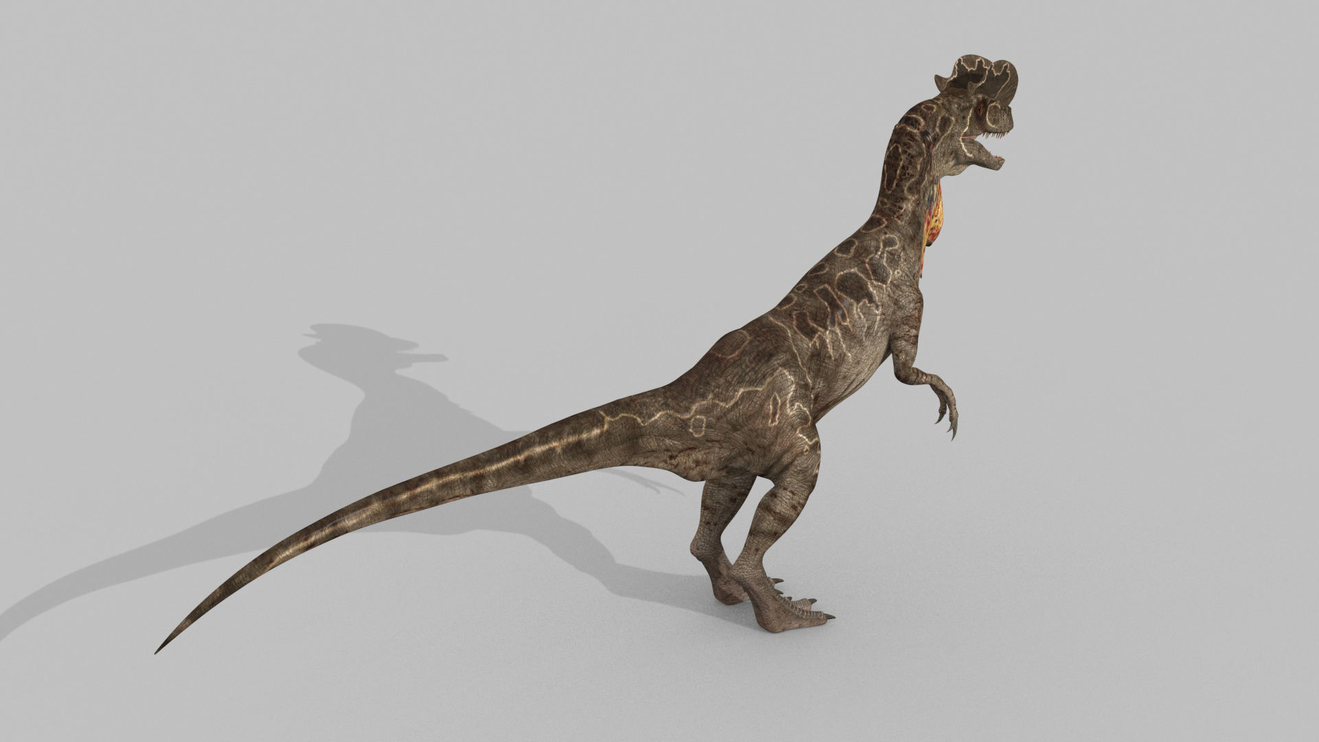 Dilophosaur Forever - 8K 3D model_12