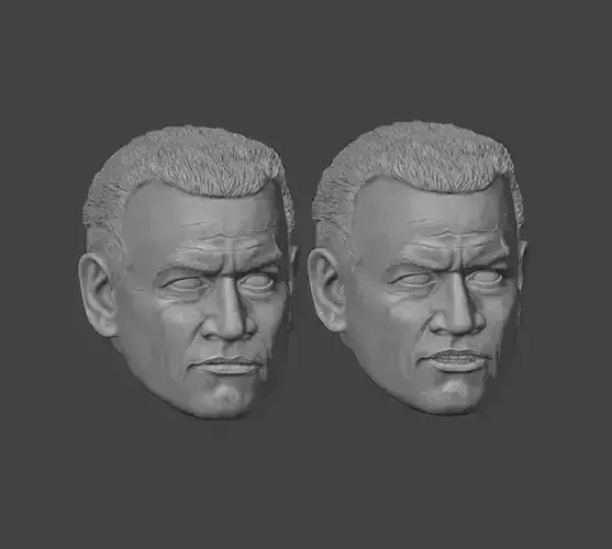 One-Twelfth Scale Clone Cody Heads 3D Print Files