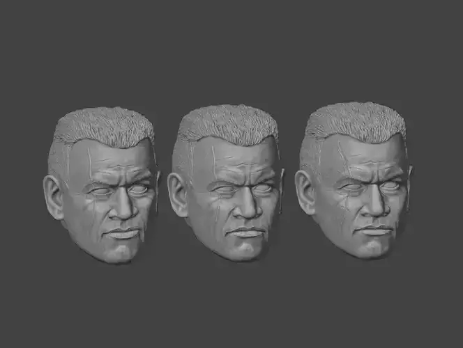 One-Twelfth Scale Clone Wolf Head 3D Print Files