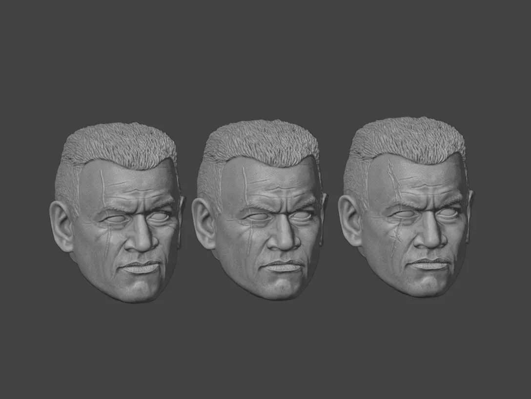 One-Twelfth Scale Clone Wolf Head 3D Print Files 3D print model