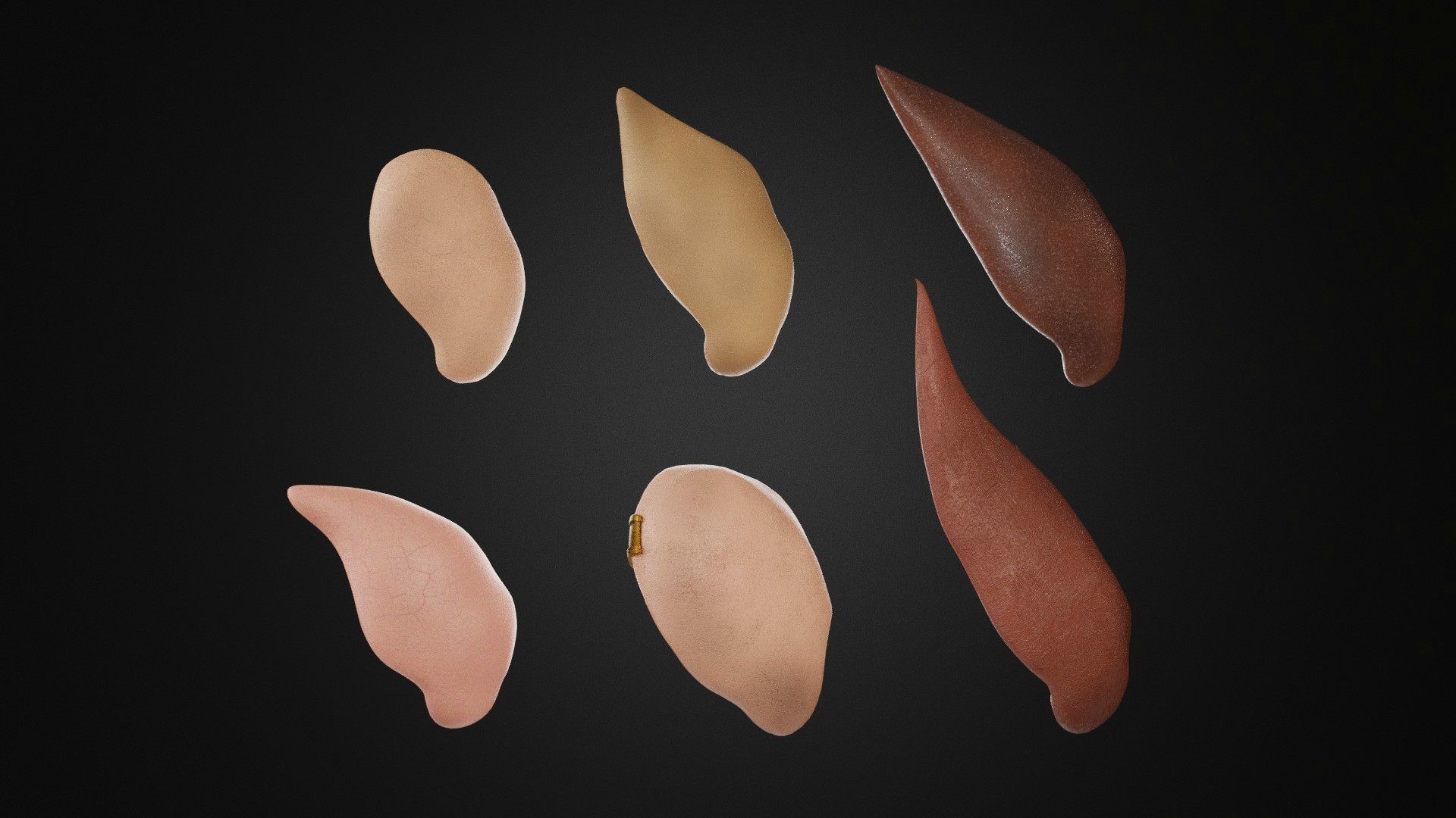ear set Low-poly 3D model_1