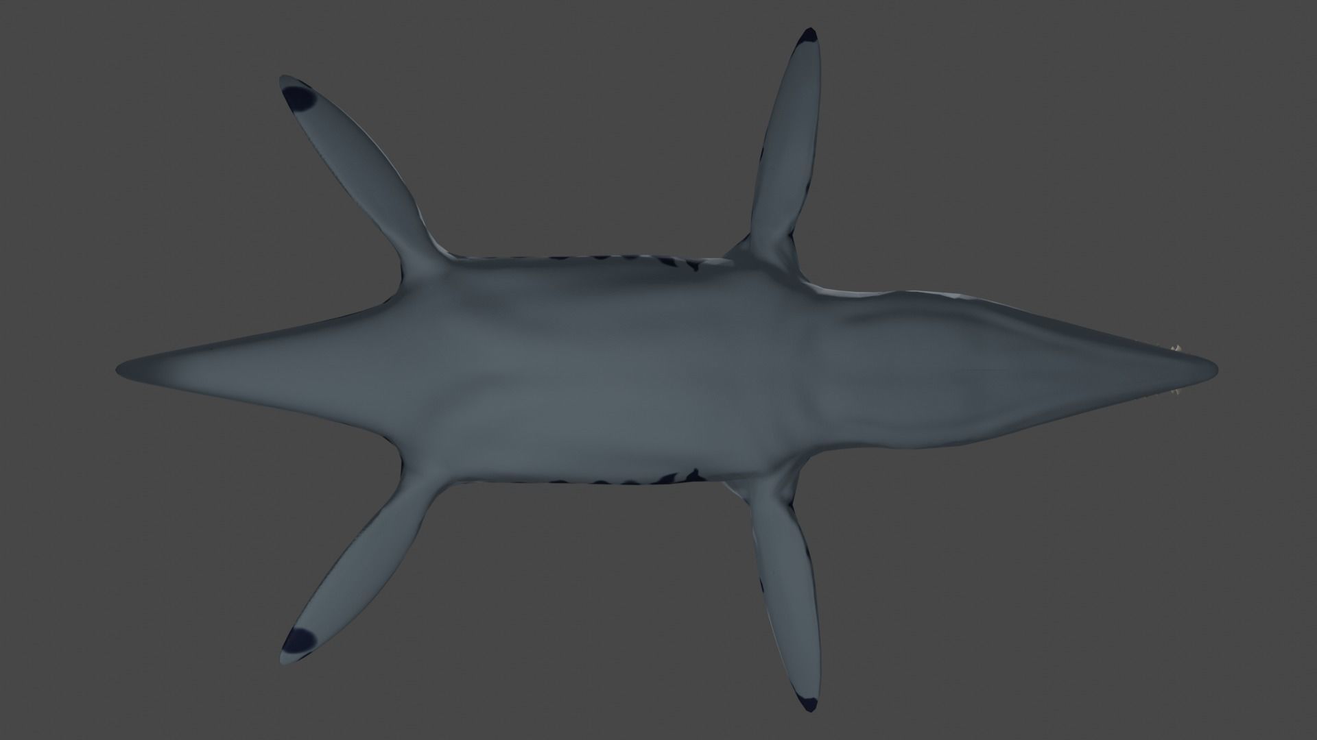 Pliosaur Low-poly 3D model_5