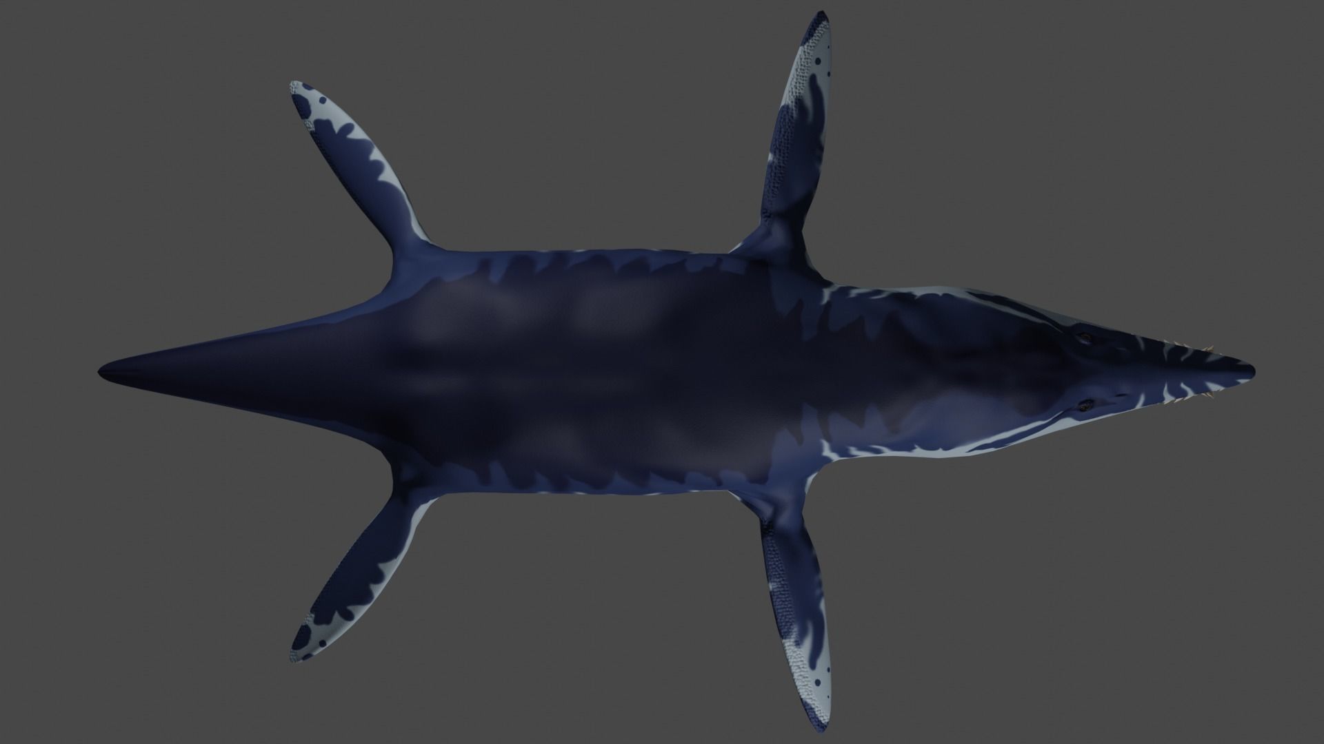 Pliosaur Low-poly 3D model_4