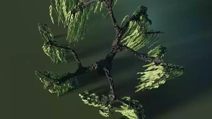 Willow Tree with high and low poly option