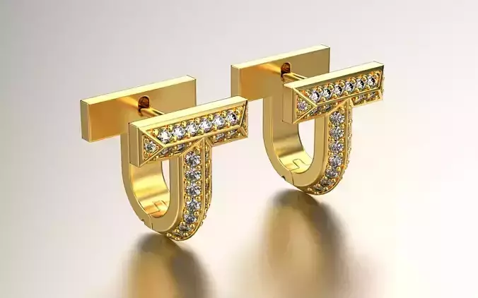 Tiffany T earrings
