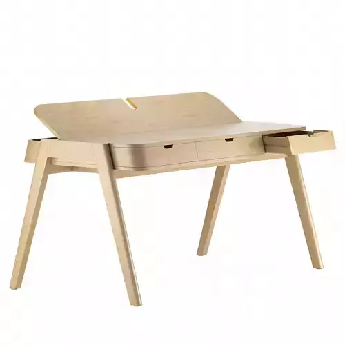 Shelter Desk