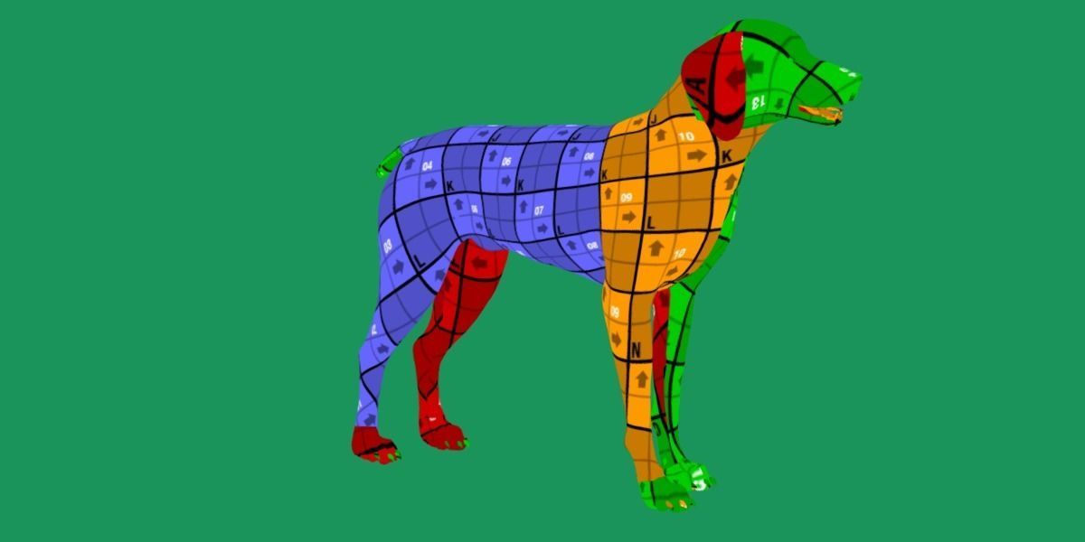 German Shorthaired Pointers Dog 3D model_13