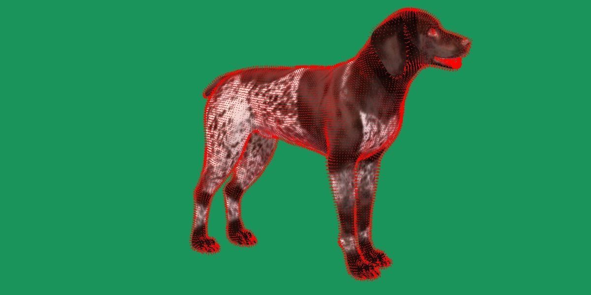 German Shorthaired Pointers Dog 3D model_12