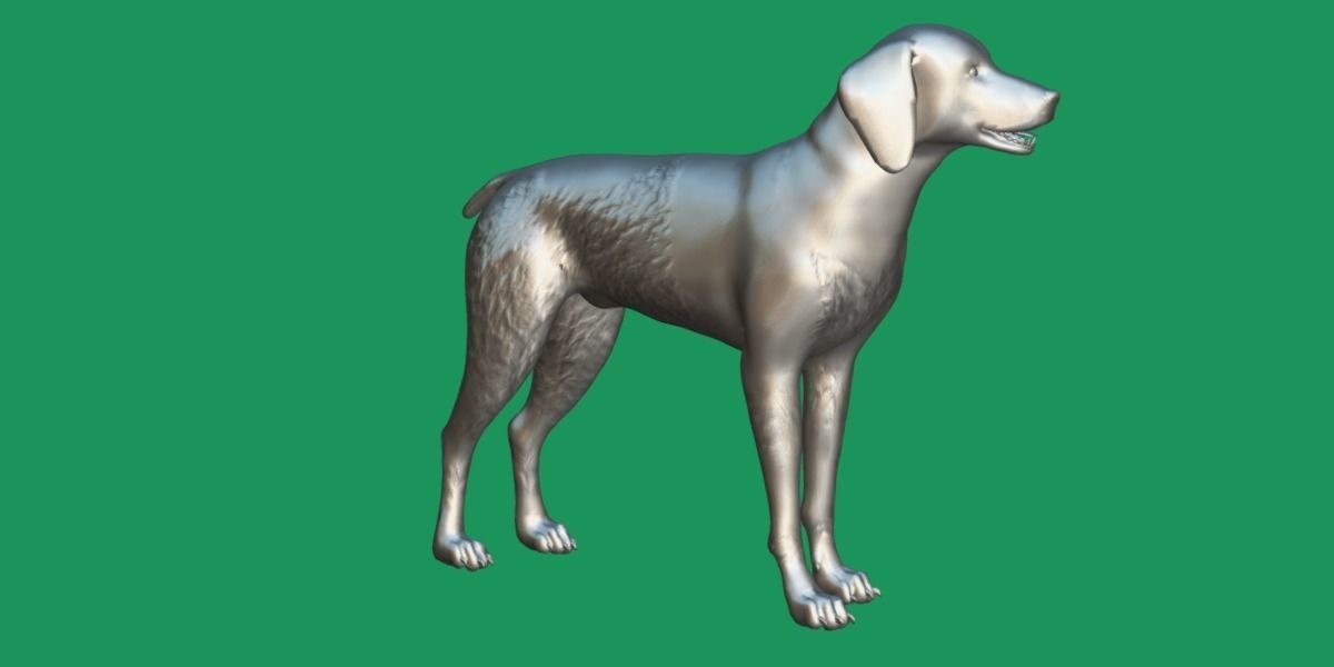 German Shorthaired Pointers Dog 3D model_10