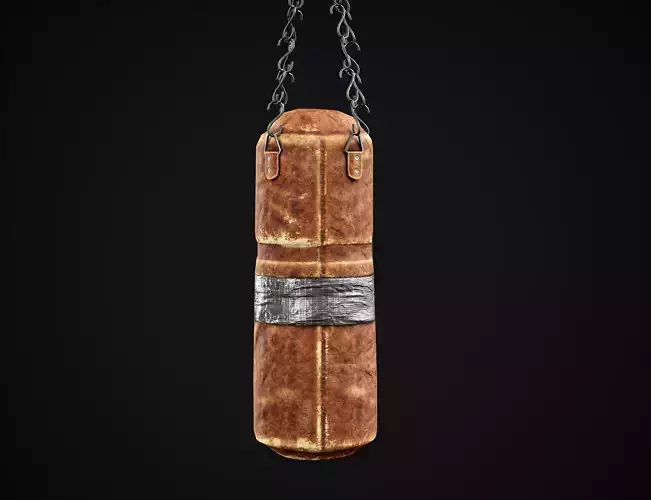 Boxing Punching Bag