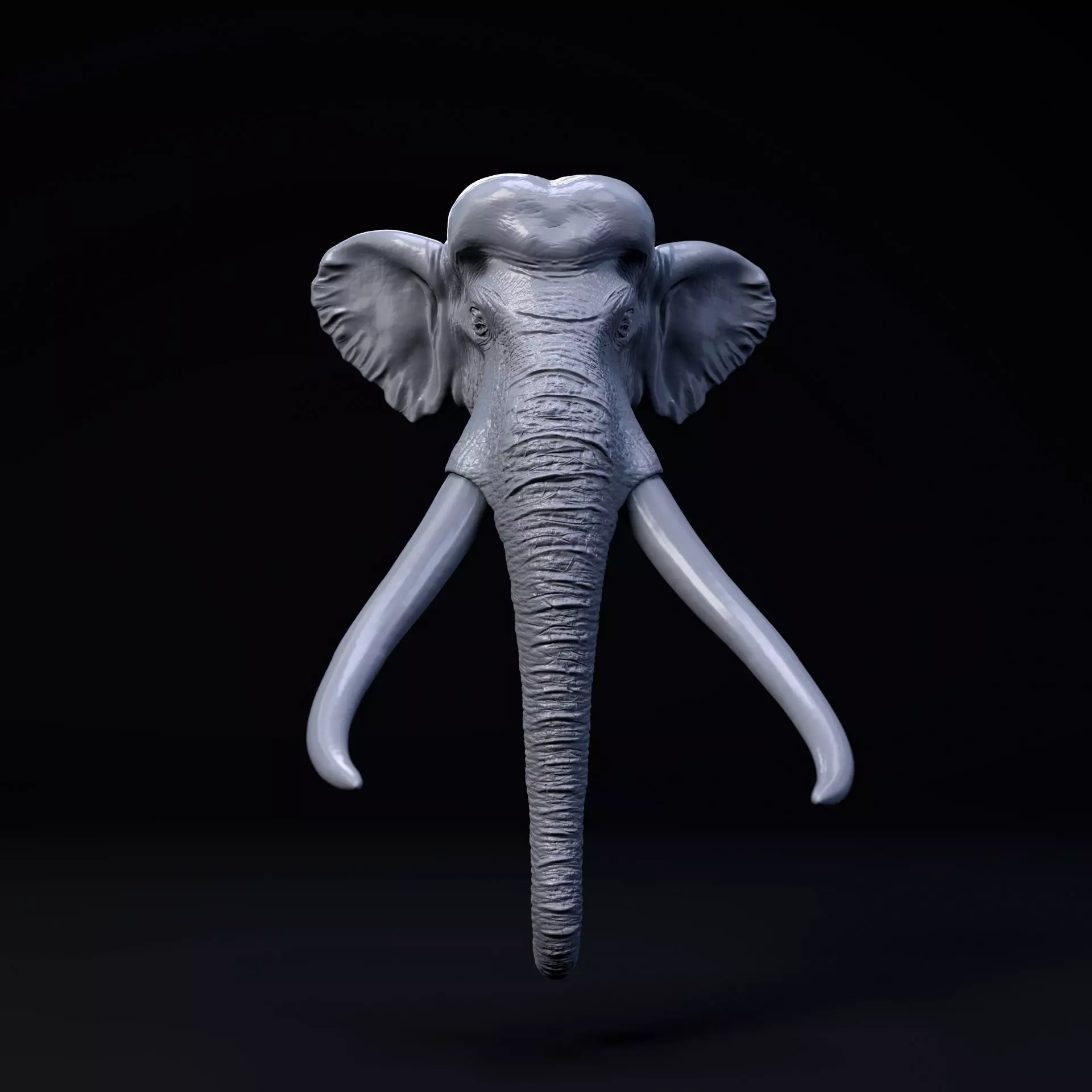Palaeoloxodon mount-head 3D print model