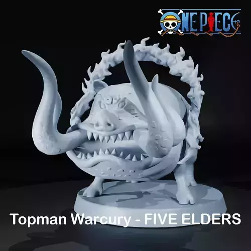 TOPMAN WARCURY - FIVE ELDERS - ONE PIECE 