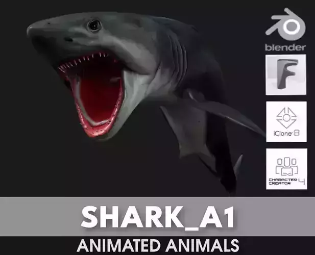 Shark-A1 3D model